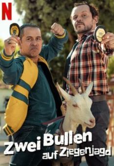 Zwei Bullen auf Ziegenjagd