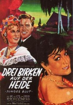 Drei Birken auf der Heide