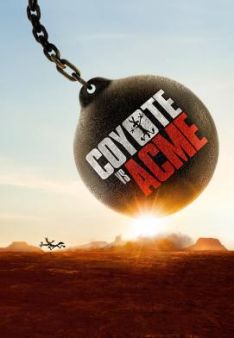 Coyote vs ACME