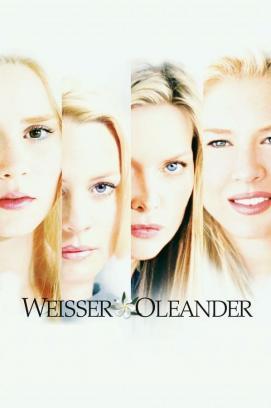 Weißer Oleander stream