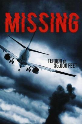 Missing - The last Flight stream