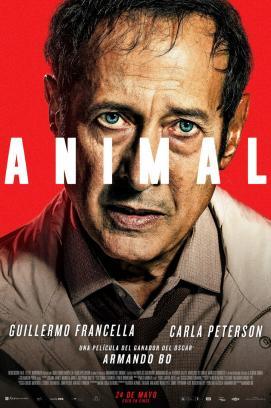 Animal stream