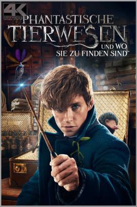 Phantastische Tierwesen und wo sie zu finden sind stream