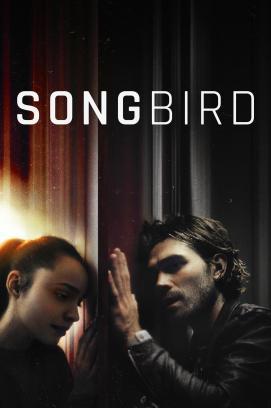 Songbird stream
