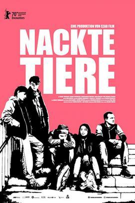 Nackte Tiere stream