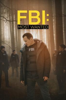 FBI: Most Wanted - Staffel 2 stream
