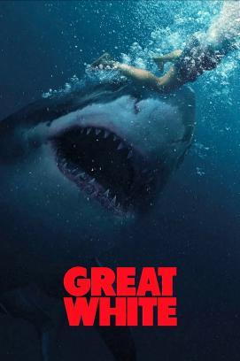 Great White stream