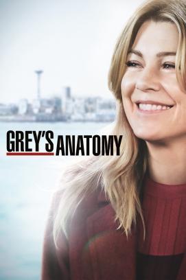 Grey's Anatomy: Die jungen Ärzte - Staffel 17 stream