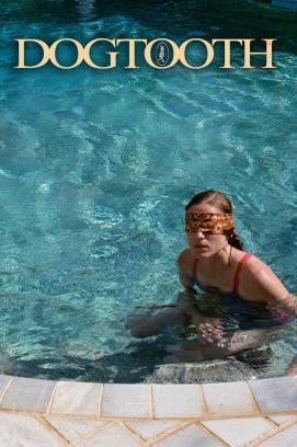 Dogtooth stream