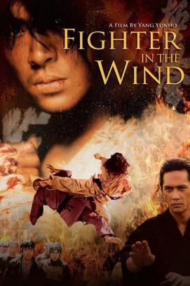 Fighter In The Wind stream