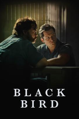 Black Bird stream
