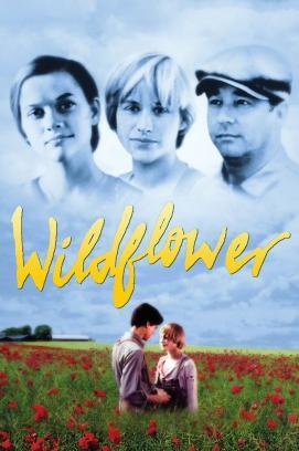 Wilde Alice stream