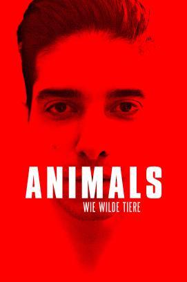 Animals - Wie wilde Tiere stream