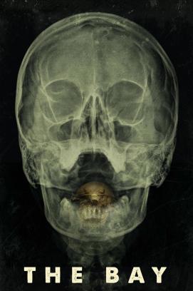 The Bay - Nach Angst kommt Panik stream