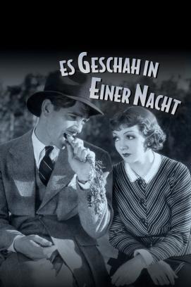 Es geschah in einer Nacht stream