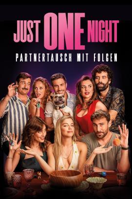 Just One Night - Partnertausch mit Folgen stream