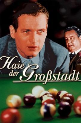 Haie der Grosstadt stream