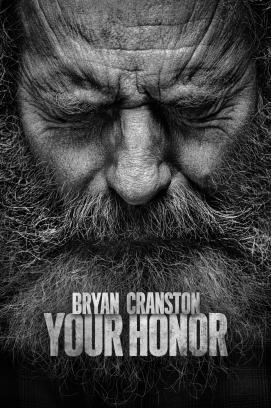 Your Honor - Staffel 2 stream