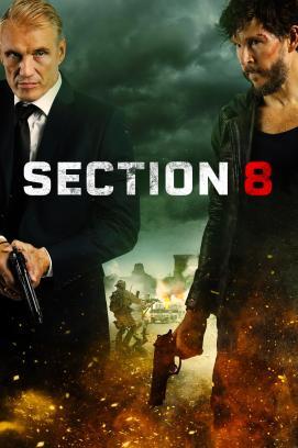 Section 8 stream