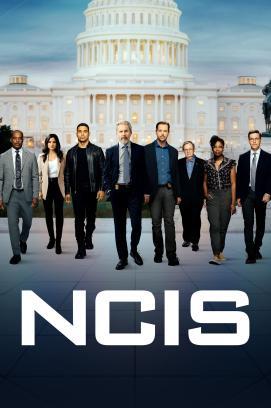 Navy CIS - Staffel 20 stream