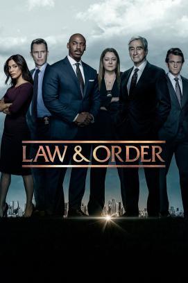 Law & Order - Staffel 22 stream