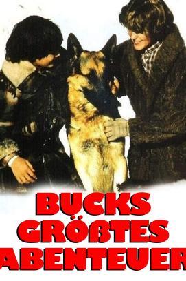 Bucks größtes Abenteuer stream