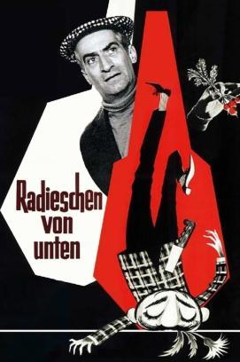 Radieschen von unten stream