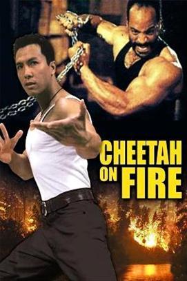 Cheetah on Fire stream
