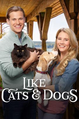 Zwei wie Hund und Katz' stream