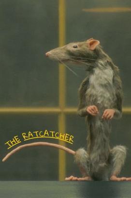 Der Rattenfänger stream