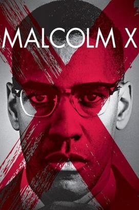 Malcolm X stream