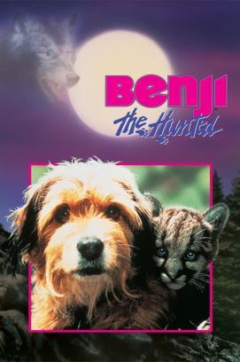 Benji, sein größtes Abenteuer stream