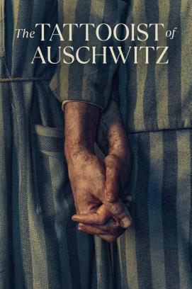 The Tattooist of Auschwitz - Staffel 1 stream