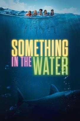 Something in the Water stream