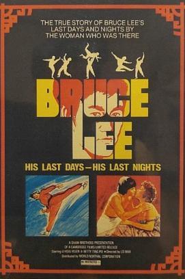 Bruce Lee - Das war mein Leben stream