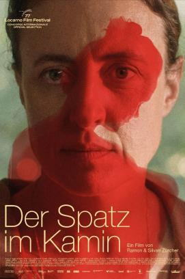 Der Spatz im Kamin stream