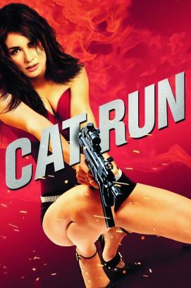 Cat Run stream