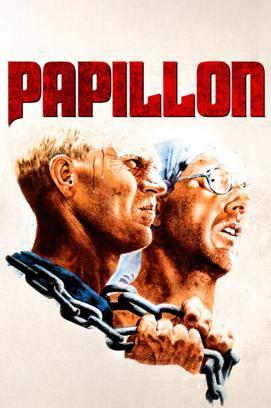 Papillon stream