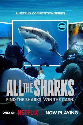 All the Sharks - Staffel 1 stream