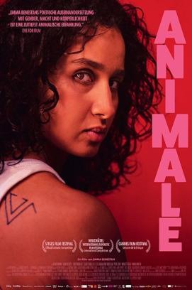 Animale stream