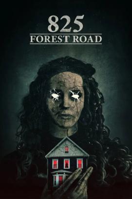 825 Forest Road stream