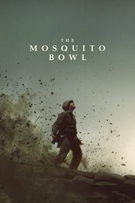 The Mosquito Bowl stream